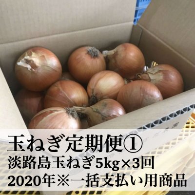 【終了しました】玉ねぎ定期便①淡路島玉ねぎ5kg×3回/2020年 ※一括支払い用商品