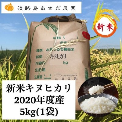 新米キヌヒカリ2020年度産5kg(1袋)/送料込