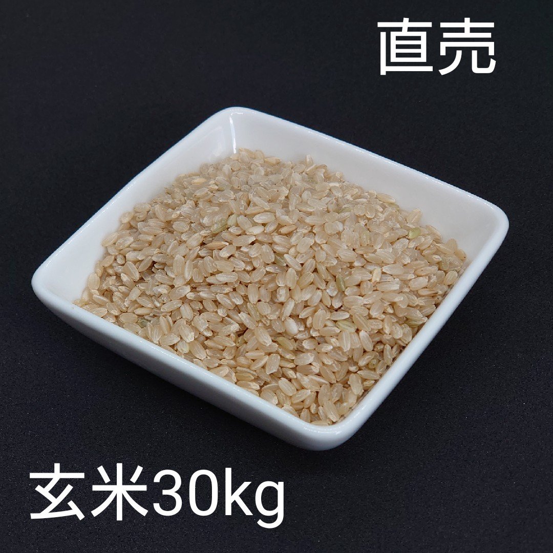 魅力の 玄米 美味しいお米 検査1等米 彩のかがやき 30kg 埼玉県産 令和3年産 食品 Saishin na