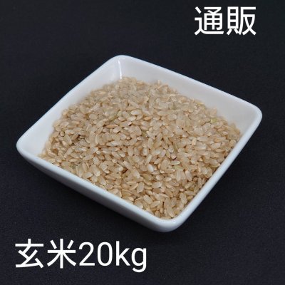 令和2年新米20kg玄米【彩のかがやき】予約販売スタート