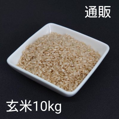 令和4年新米10kg玄米【彩のかがやき】予約販売スタート