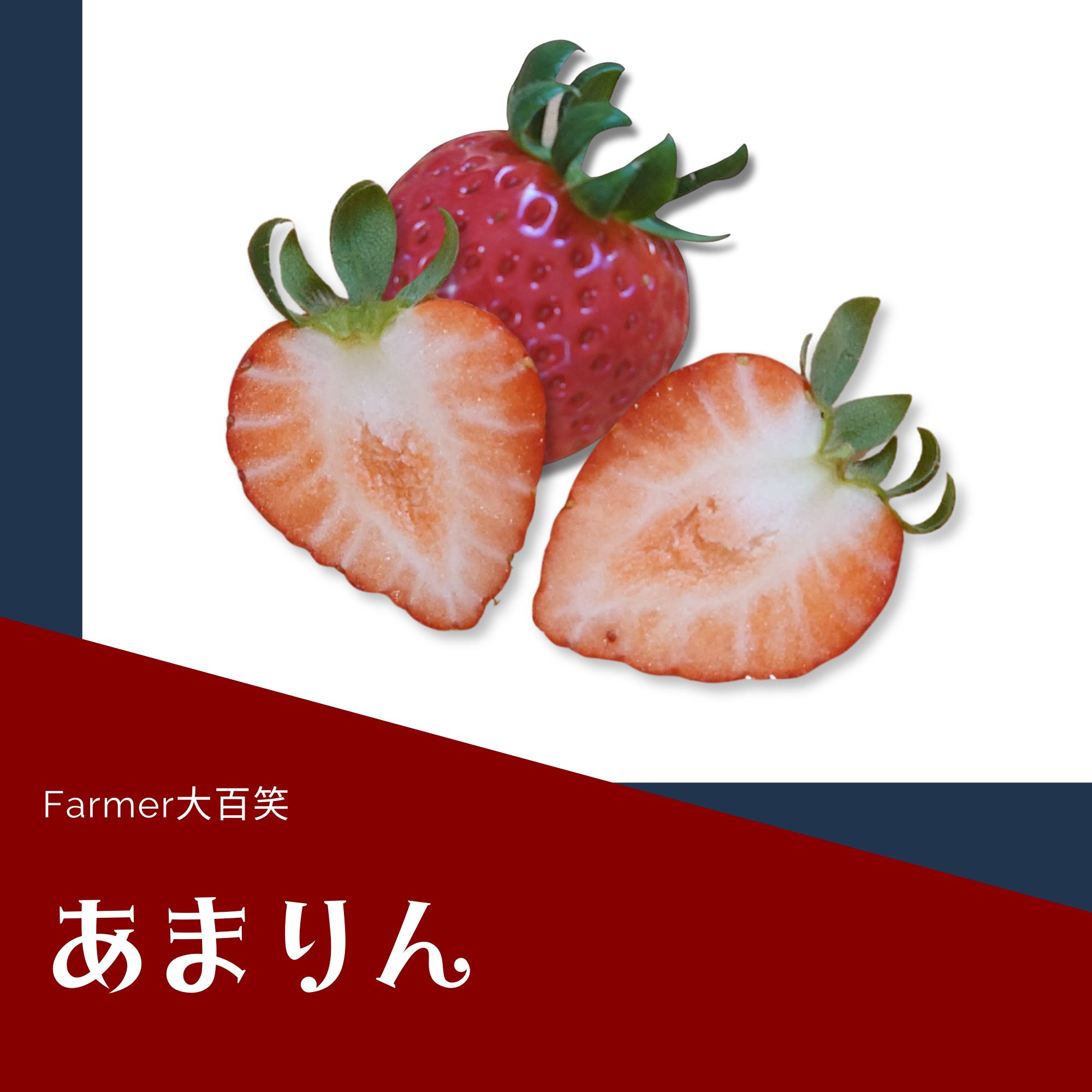 あまりん」平詰め4パック入り 全国いちご選手権で3年連続1位に
