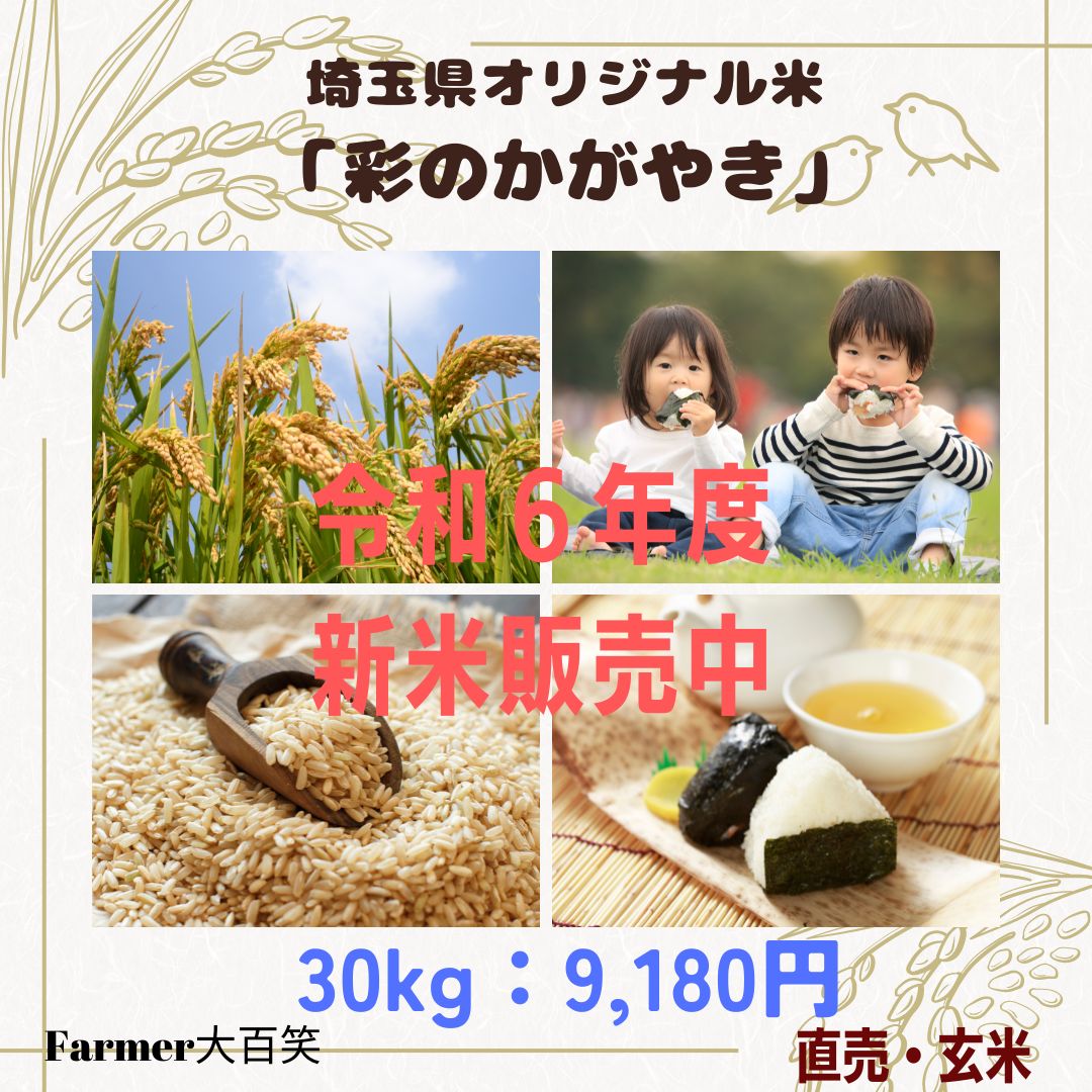 令和4年度 愛媛県産コシヒカリ 古米30kg