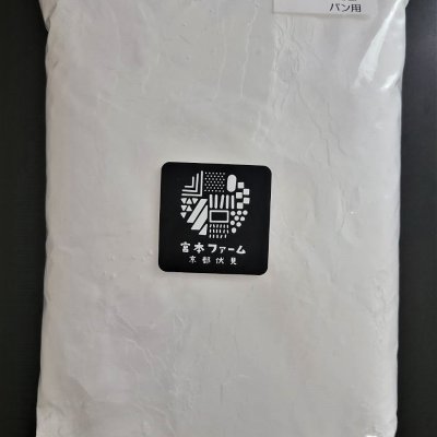 京都産 パン・焼き菓子用 米粉 (ミズホチカラ 特別栽培米) 1kg