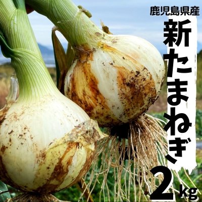 ツクツク!!通販
