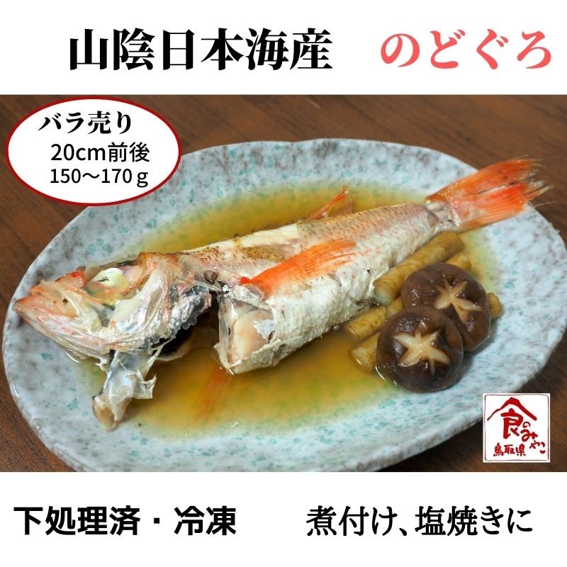 バラ売り【１ヶ月保存可能】【処理済み】解凍するだけ！日本海の高級魚「のどぐろ」20cm　冷凍・真空