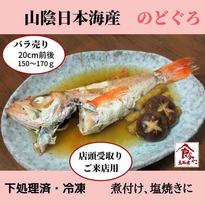 ご来店用｜バラ売り【１ヶ月保存可能】【処理済み】解凍するだけ！日本海の高級魚「のどぐろ」20cm　冷凍・真空