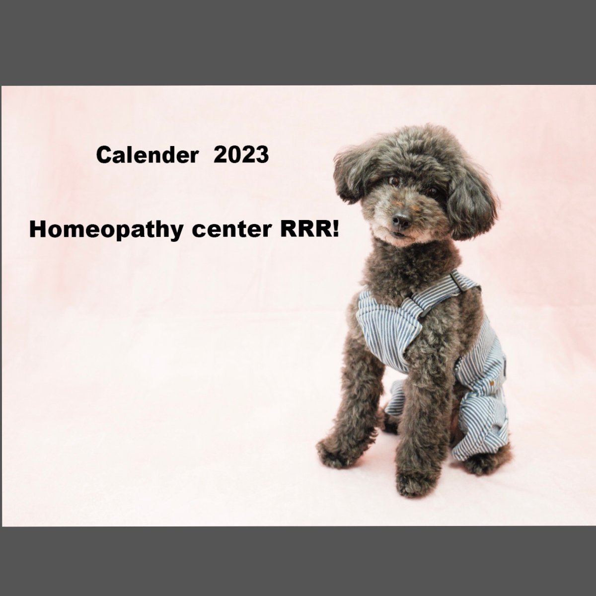 2023カレンダー　犬さん猫さんの写真と、ナチュラルケアのカレンダー