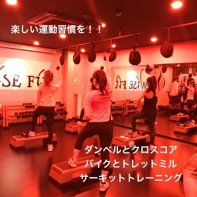 【体験】wise fit