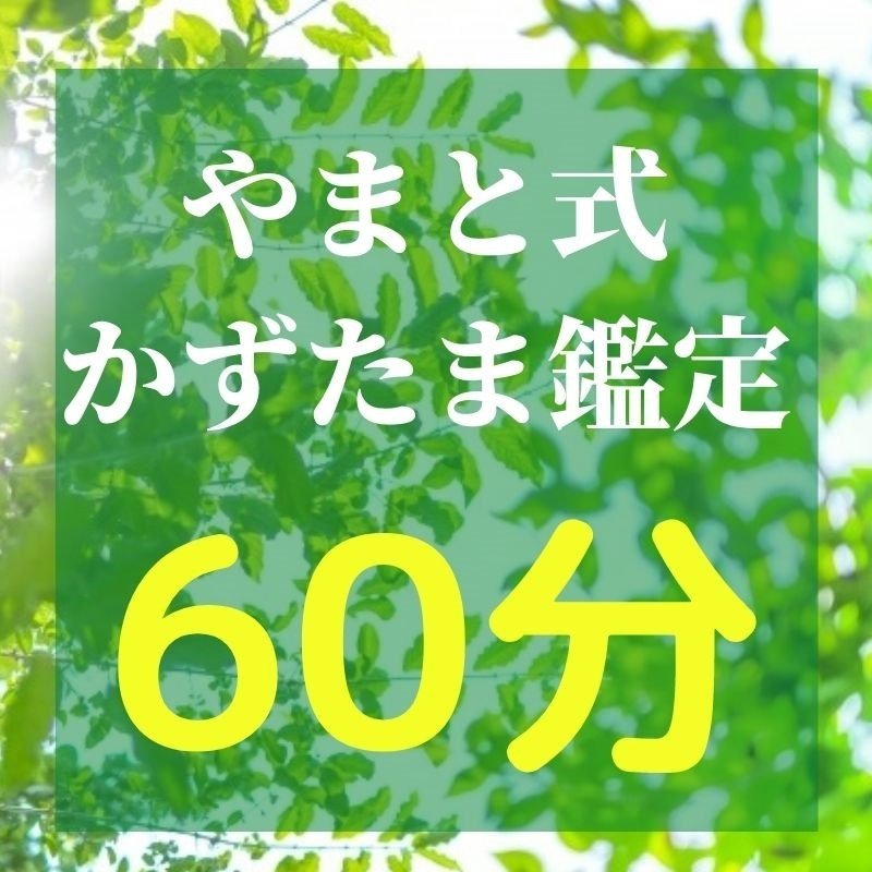 やまと式かずたま鑑定 60分 Zoomセッション やまと式かずたま鑑定 トラウマリセットの クミュータクト ツクツク ウェブチケット モバイル コトの通販サイト 体験を買える