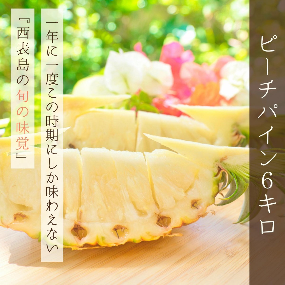 【６Kg】西表島産ピーチパイン 〜パイナップルなのに『ほんの〜り桃の香り』がする不思議なパイナップル〜