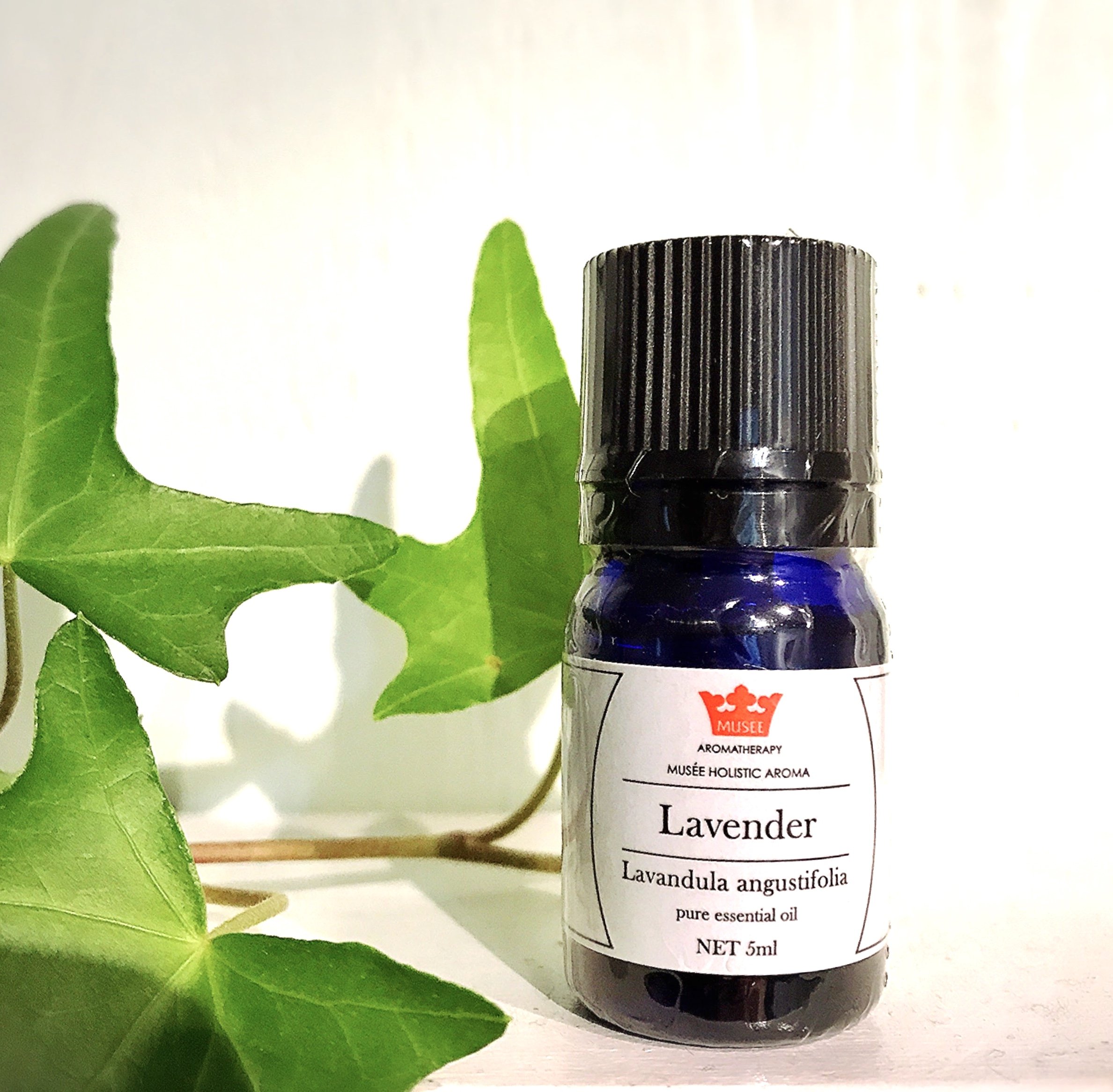 今なら送料無料 おうちでアロマ 応援 ラベンダー精油 5ml 殺菌 抗菌 感染症予防 花粉症 リラックス 万能精油 天然100 にこだわった精油