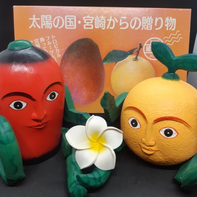 日向夏ちゃんと完熟マンゴーくんの詰め合わせ