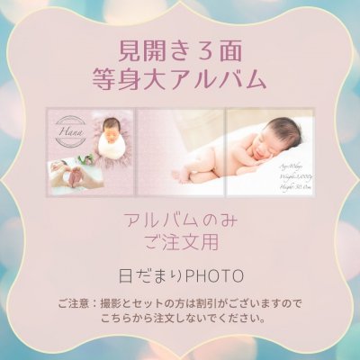 【当店一番人気アルバム】3面見開き(等身大アルバム作成可能)アルバムのみのご注文用 半透明ケース付き