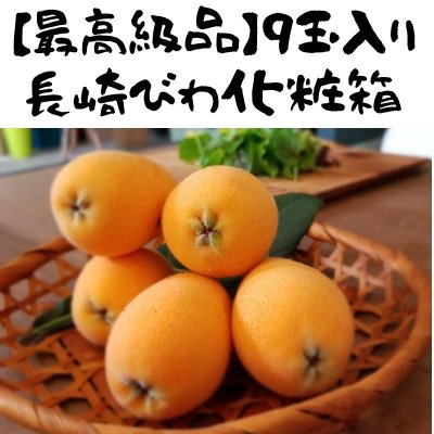【最高級品】9玉〜12玉入り温室長崎びわ