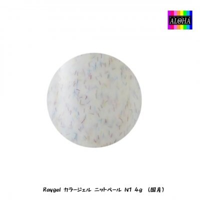 Raygel カラージェル ニットベール N1 4g (国産)