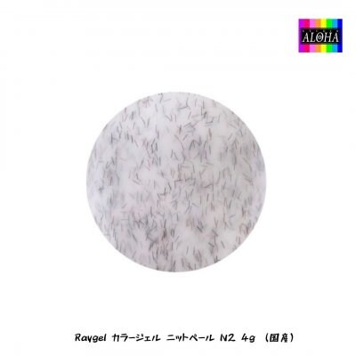 Raygel カラージェル ニットベール N2 4g (国産)