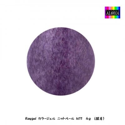Raygel カラージェル ニットベール N11 4g (国産)