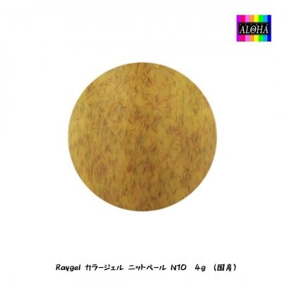 Raygel カラージェル ニットベール N12 4g (国産)