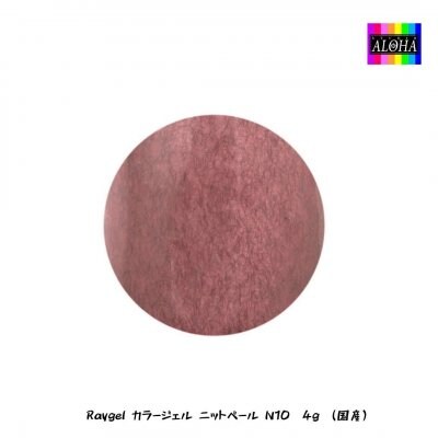 Raygel カラージェル ニットベール N10 4g (国産)