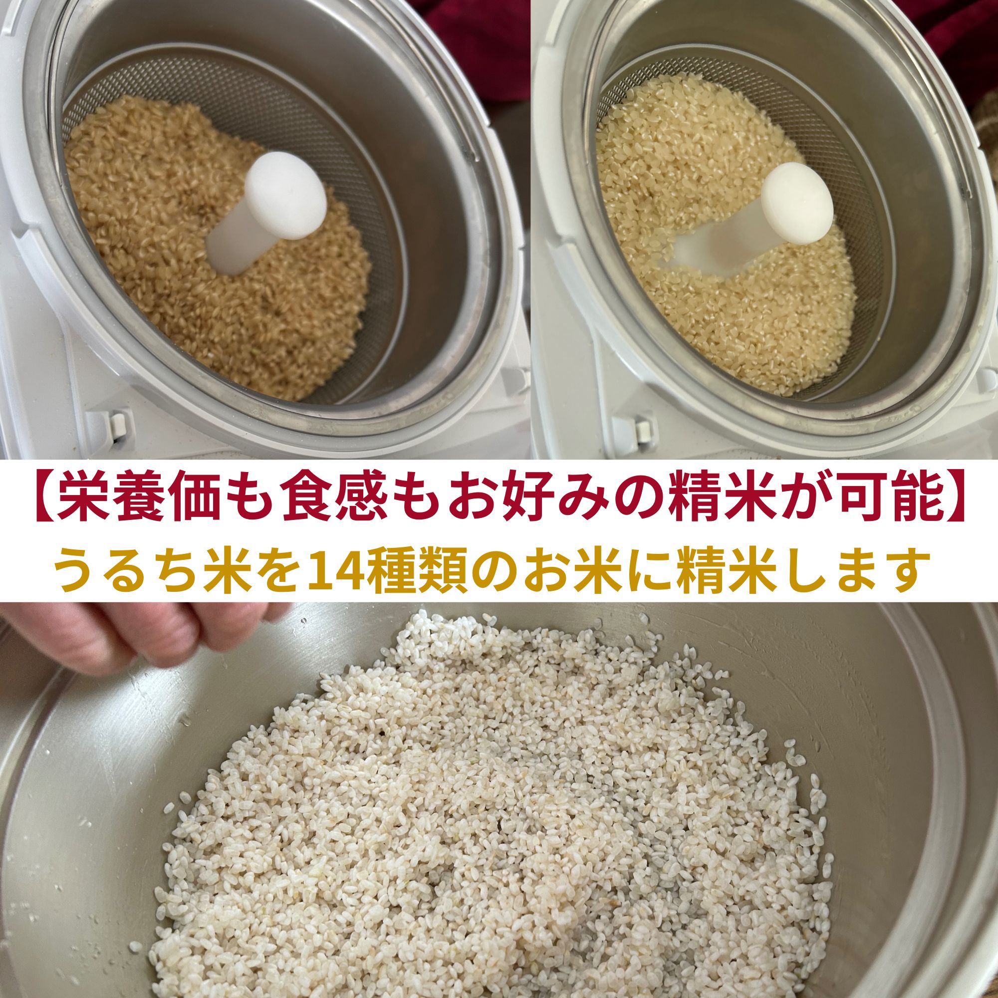 同時購入特別価格☆新型精米器発売1周年記念『新米を極めて美味しく』キャンペーン☆栄養豊富な「胚芽」を残して精米できる精米 機