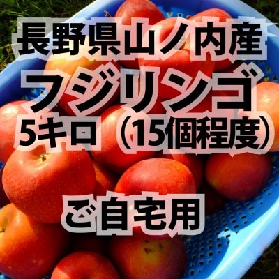 農家さん直送 ご自宅用 信州リンゴ5キロ:フジ 長野県山ノ内町産