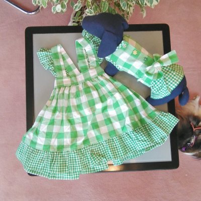 わんことおそろい子供エプロンギンガムチェック　こども：身長95㎝　わんこ：サイズＳ、