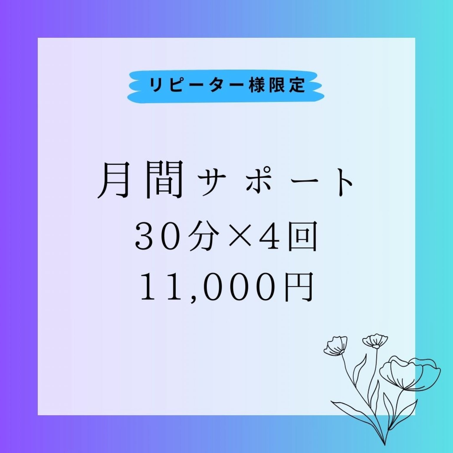 リピーター様限定★月間サポート30分×4回11,000円