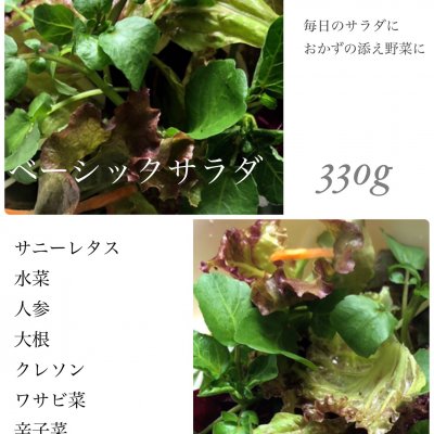 ベーシックサラダ/basic salad/約300〜320ｇ/ノーポーク/ノーアルコール/岐阜サラダ/デリバリー/テイクアウト