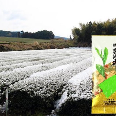 熊本県産 極上さえみどり 100g