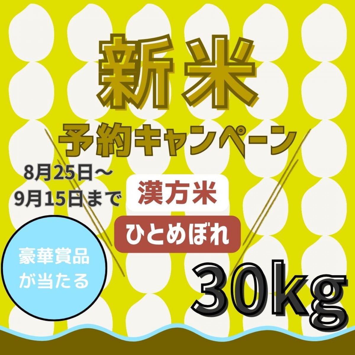 【新米先行予約キャンペーン】令和６年 漢方米 幸之助の米　ひとめぼれ（白米or玄米）30kg  抽選で豪華賞品が当たる！！