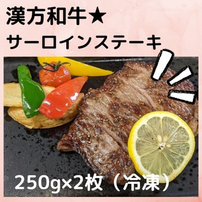 漢方和牛サーロインステーキ　（250ｇ×2枚）冷凍　簡易包装