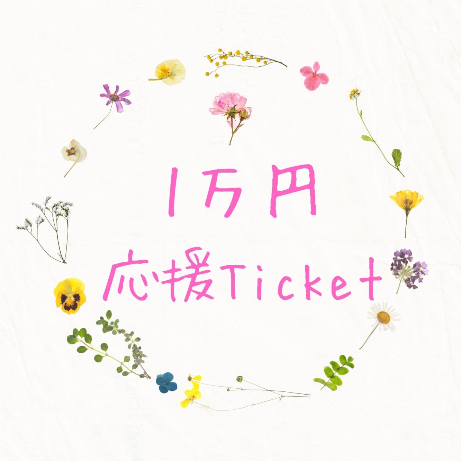 10000円　Roots　応援Ticket