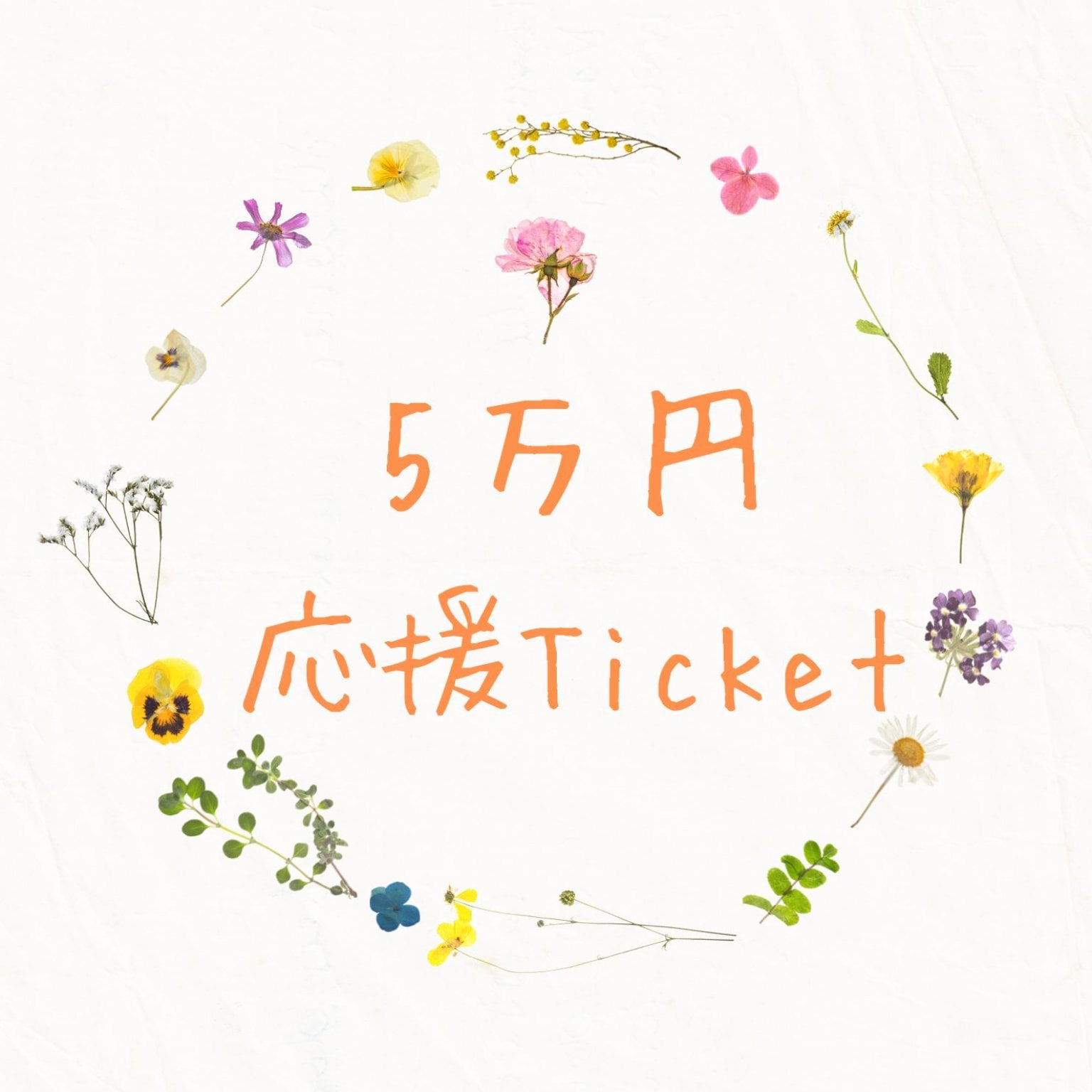 50000円　Roots　応援Ticket