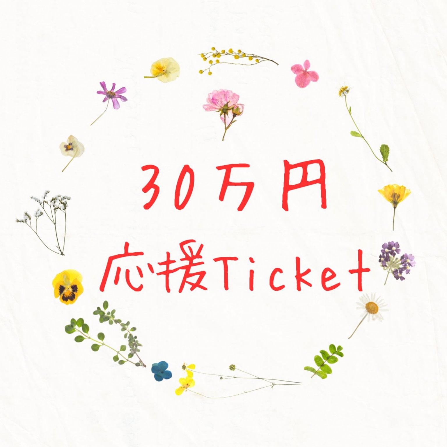 30万円　Roots　応援Ticket