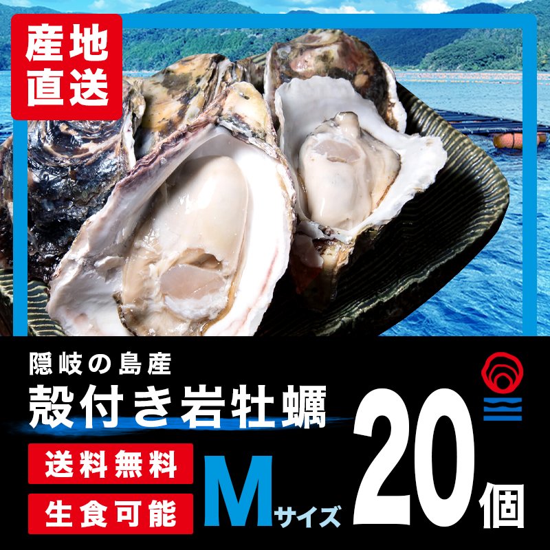 Ｍサイズお得な20個入|殻付き岩がき・生食用｜隠岐の島蛸木産「清海」|送料無料