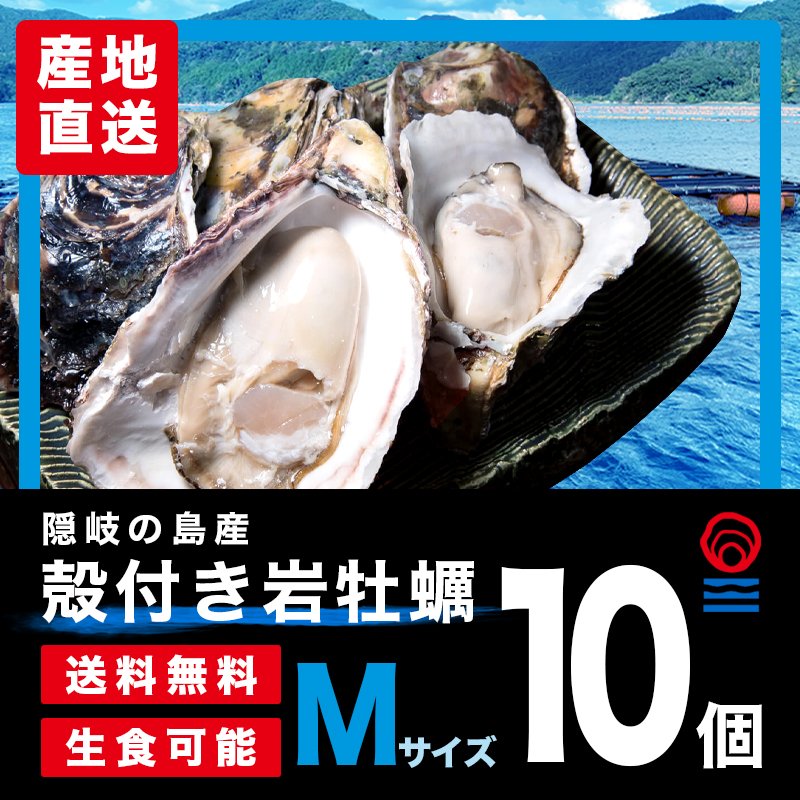 Ｍサイズ10個入|殻付き岩がき・生食用｜隠岐の島蛸木産「清海」|送料無料