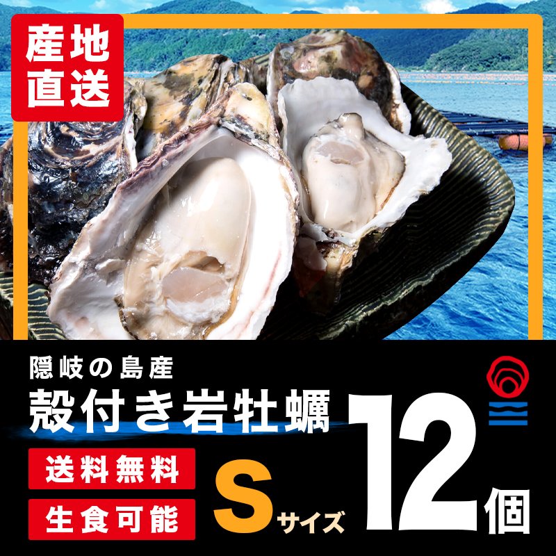 Sサイズ12個入|殻付き岩がき・生食用｜隠岐の島蛸木産「清海」|送料無料
