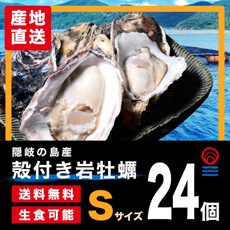 Ｓサイズお得な24個入|殻付き岩がき・生食用｜隠岐の島蛸木産「清海」|送料無料