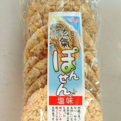 元氣ぽんせん(塩味)【福岡のオーガニックショップコラボレーション】