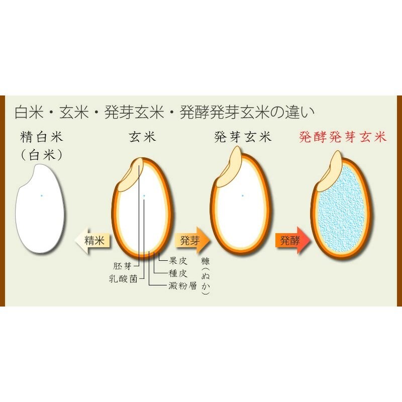 お試し登場!玄米の常識を変えた!信じられない食べやすさと お試し登場!玄米の常識を変えた!信じられない食べやすさと