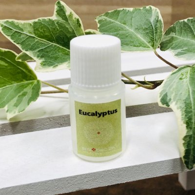 ソリューション/ユーカリ <Eucalyplus> (5ml)