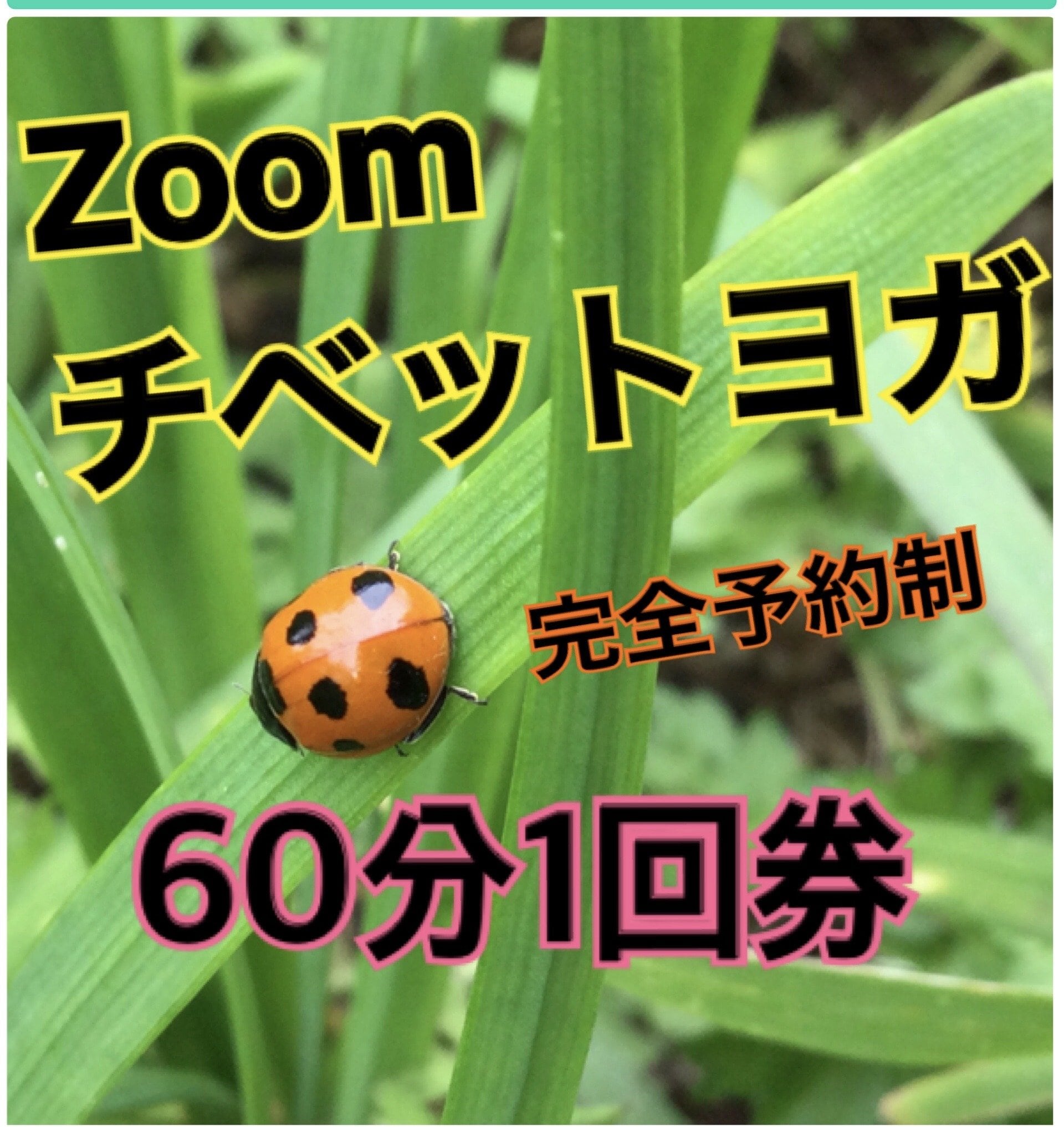 チームK様専用　Zoomチベットヨガ【完全予約制】60分1回券