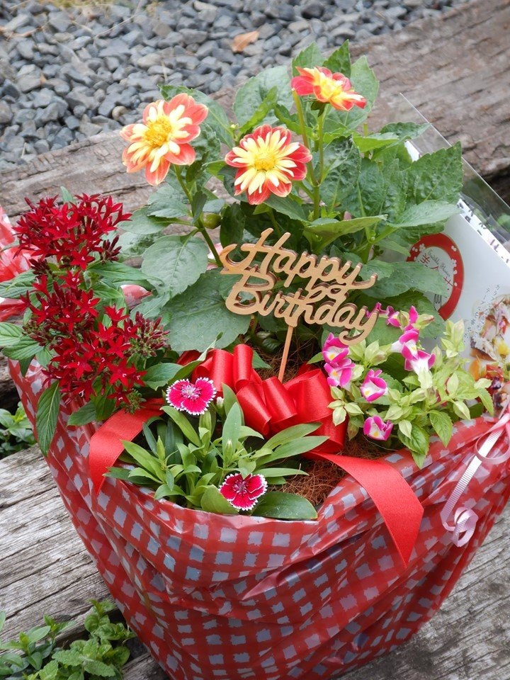 花農家直送》［送料無料］エディブルフラワーの寄せ植え5種