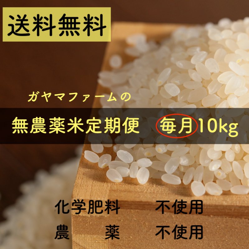 【お米定期便】無農薬はるみ|毎月発送10kg(5月スタート)