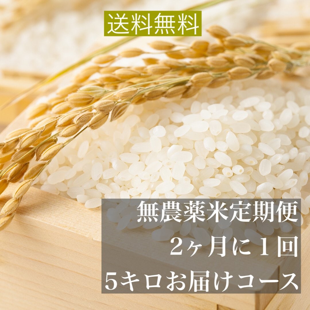 【お米定期便】無農薬はるみ|隔月発送(偶数月)5kg(6月スタート)