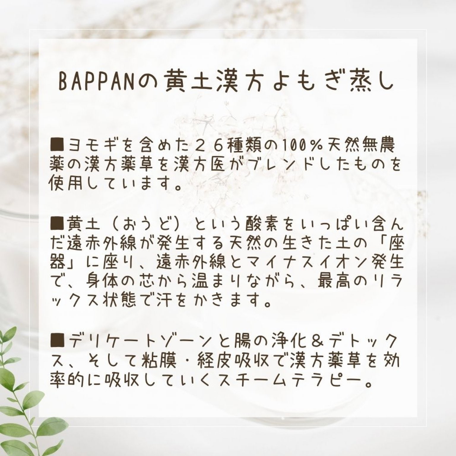 BAPPAN黄土漢方よもぎ蒸し　〜8回18,000円チケット〜