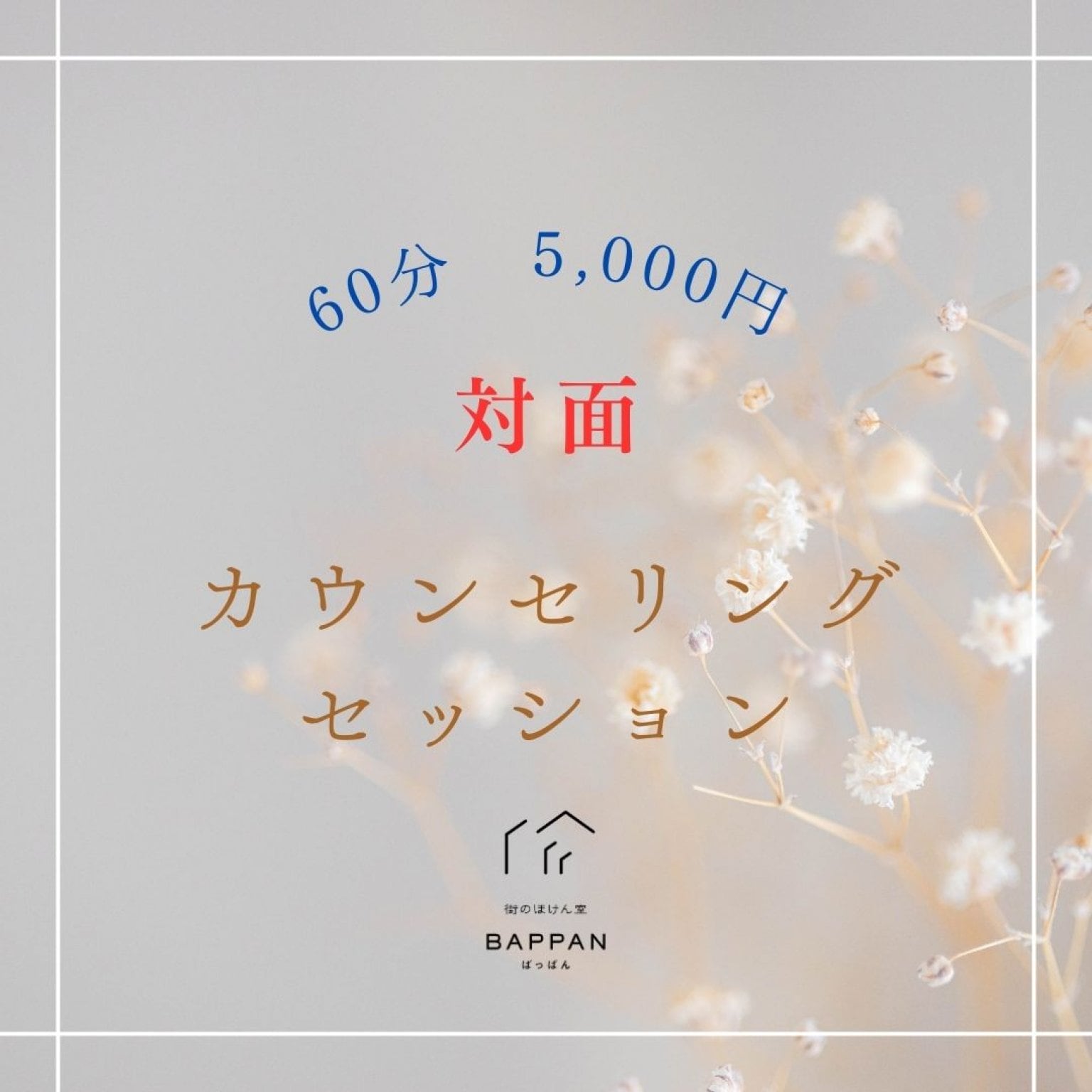 【60分対面】カウンセリングセッション
