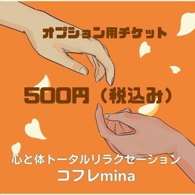 オプションチケット　500円