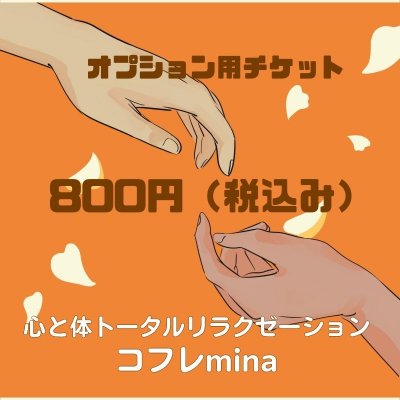 オプションチケット　800円